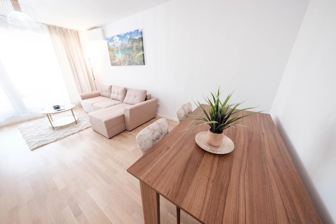 Brand New Luxury Apartment In The Heart Of براشوف المظهر الخارجي الصورة